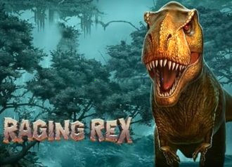 Raging Rex Playn Go